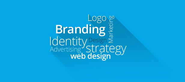 Website Design: Launching a Business & Building a Brand